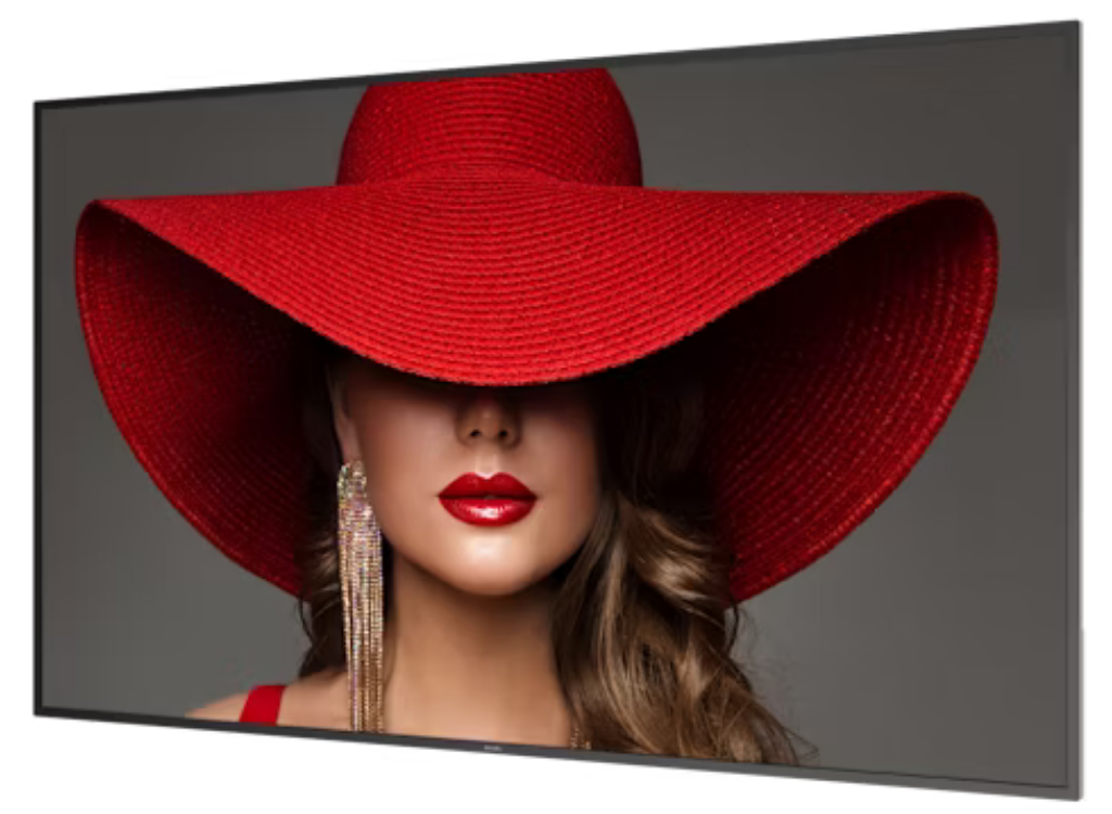 Philips 65BDL4650D/00 D-Line 65" 4K Ultra HD Smart Digital Signage Display - Image 3