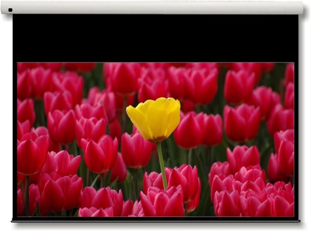 Alternative view of Optoma DE-9092EGA Electric Projector Screen - 16:9 Ratio 203 x 114.5cm