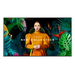 Samsung 85" QB85C Display - Image 4
