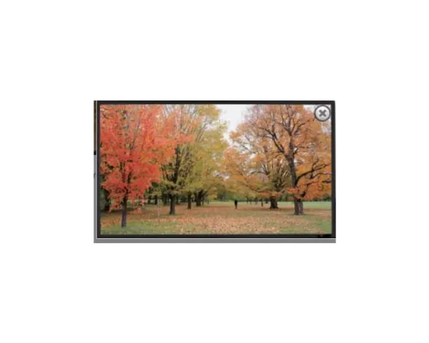 Sapphire Fixed Frame 203 x 114cm Slim Bezel Front Projector Screen 16:9 92" SFSC203-SB